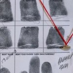 Детективное расследование тайн игры Sweet Bonanza 1000