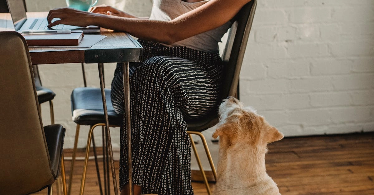 Детективное расследование слота The Dog House с игровыми символами