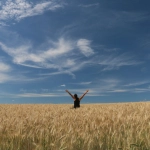 Sky Bounty детективное расследование загадочного слота