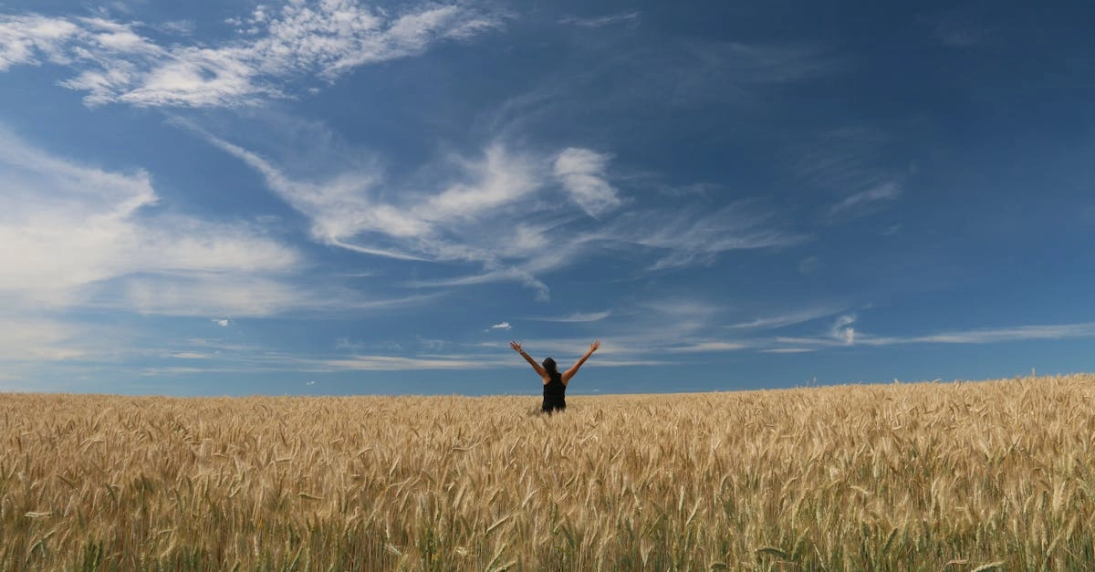 Sky Bounty детективное расследование загадочного слота