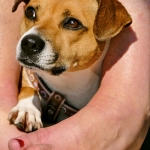 Детективное расследование программ лояльности казино без депозита