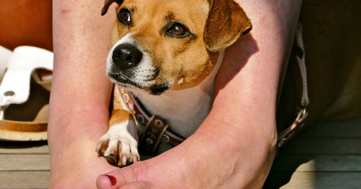 Детективное расследование программ лояльности казино без депозита